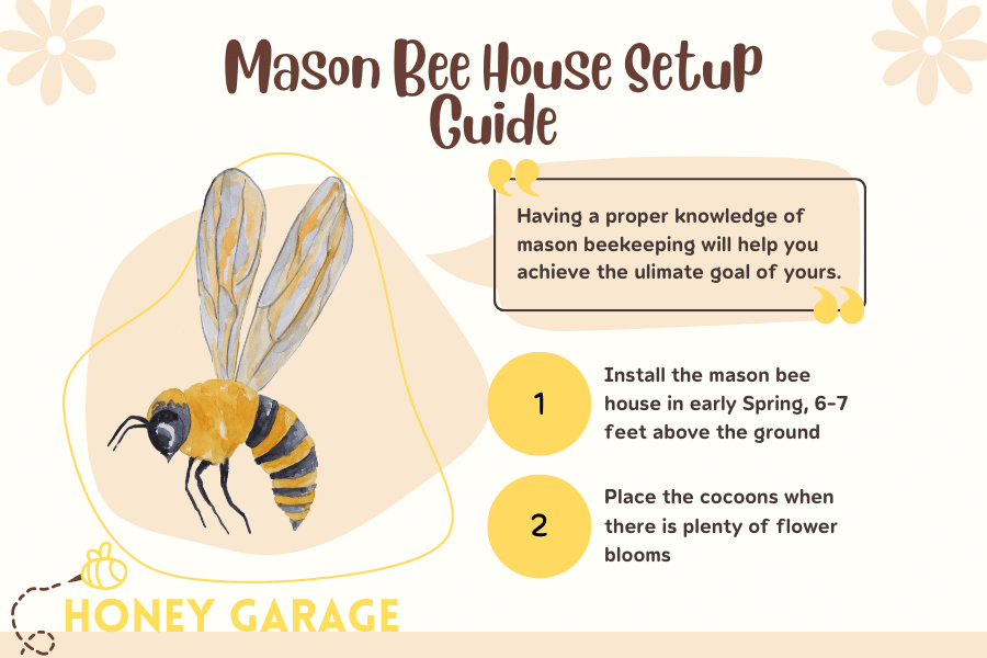 Mason bee house setup guide