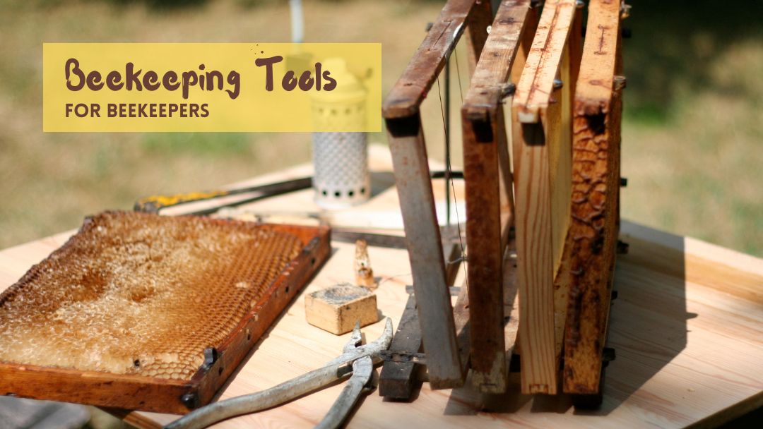 beekeeping tools for beekeepers