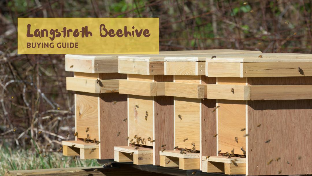 best langstroth beehive