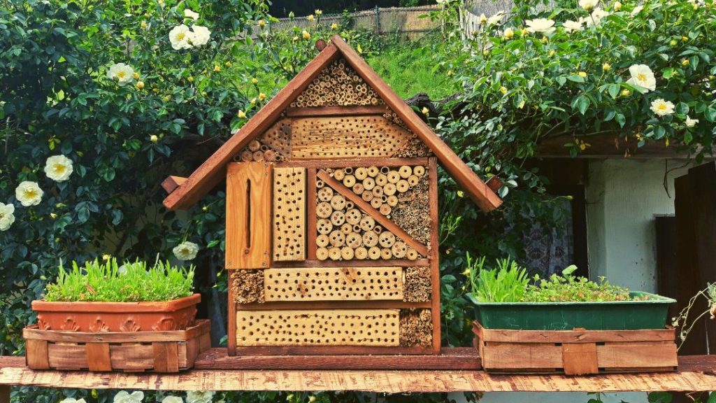 Can You Move A Mason Bee House