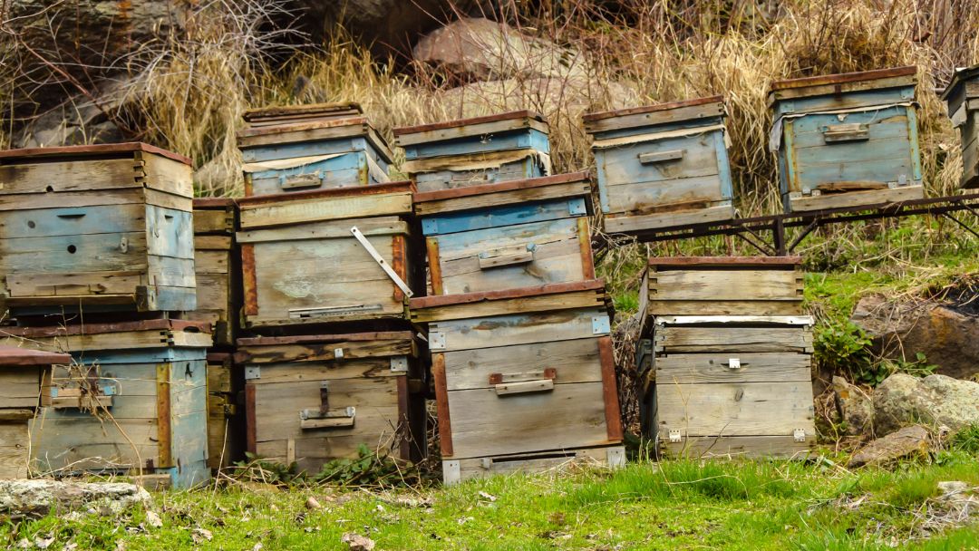 Making Ant-Proof Beehive Stand