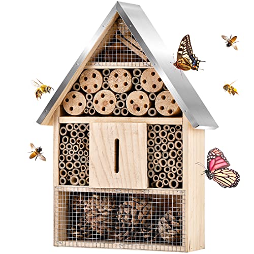 Best Bee House