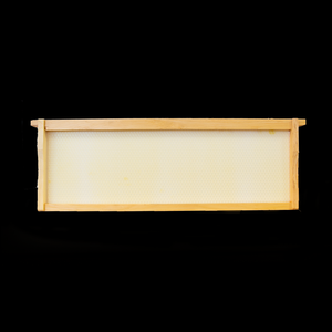 Medium Wooden Frame With Waxed Foundation