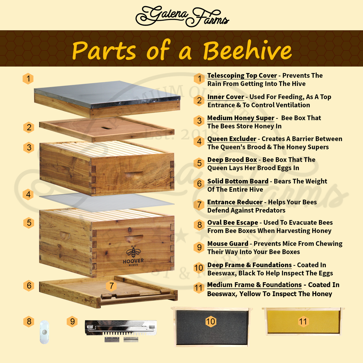 Parts of a Beehive